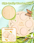 Animal life cycle figures science kit – view 2