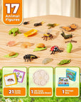 Animal life cycle figures science kit – view 6