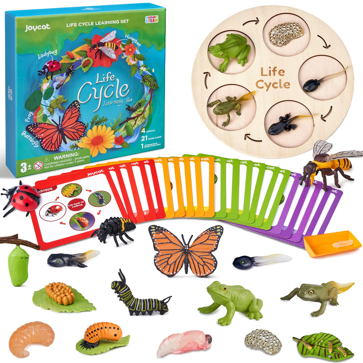 Animal life cycle figures science kit