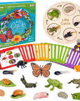 Animal life cycle figures science kit